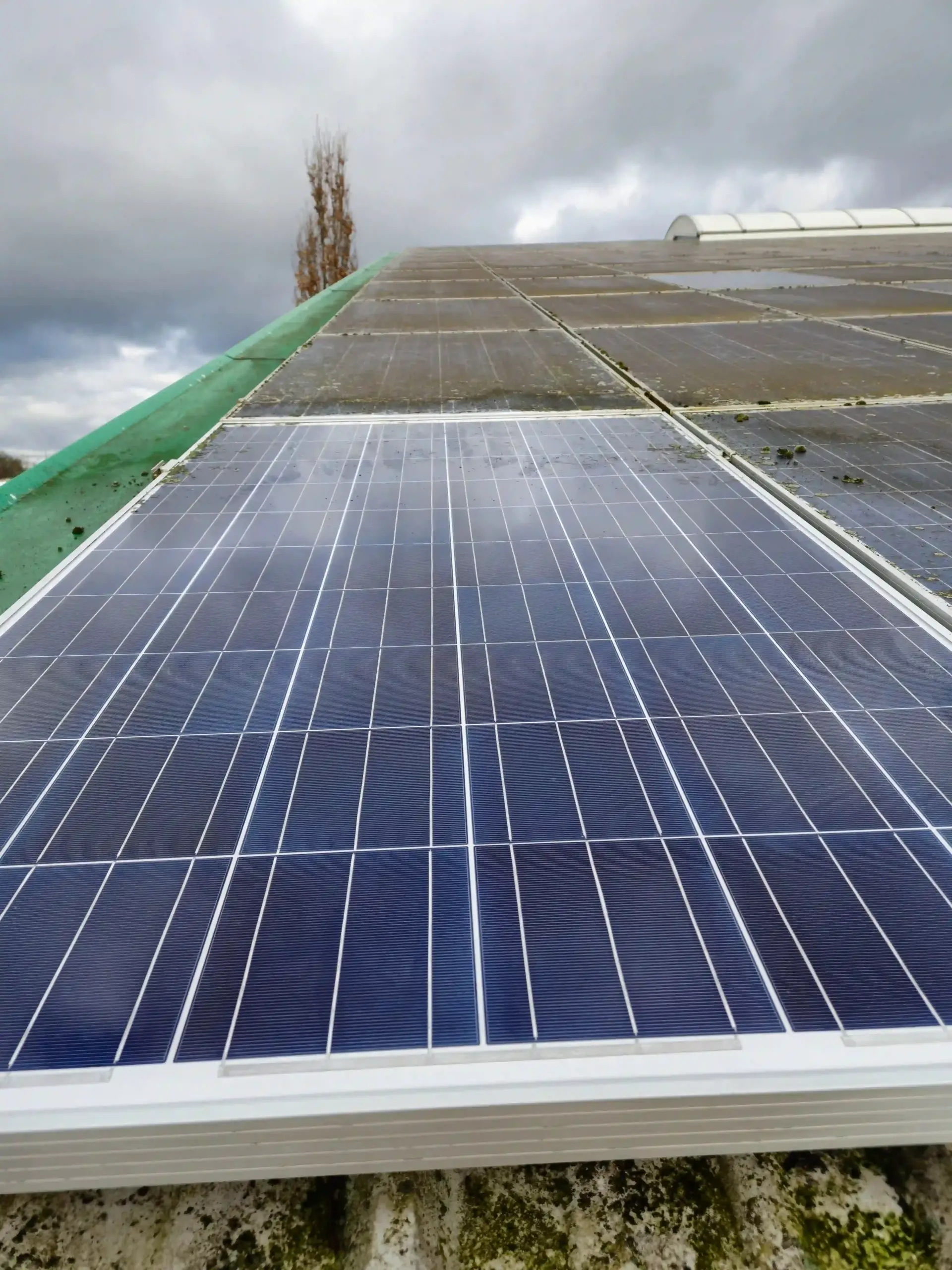 solar- und photovoltaikanlagenreinigung 1