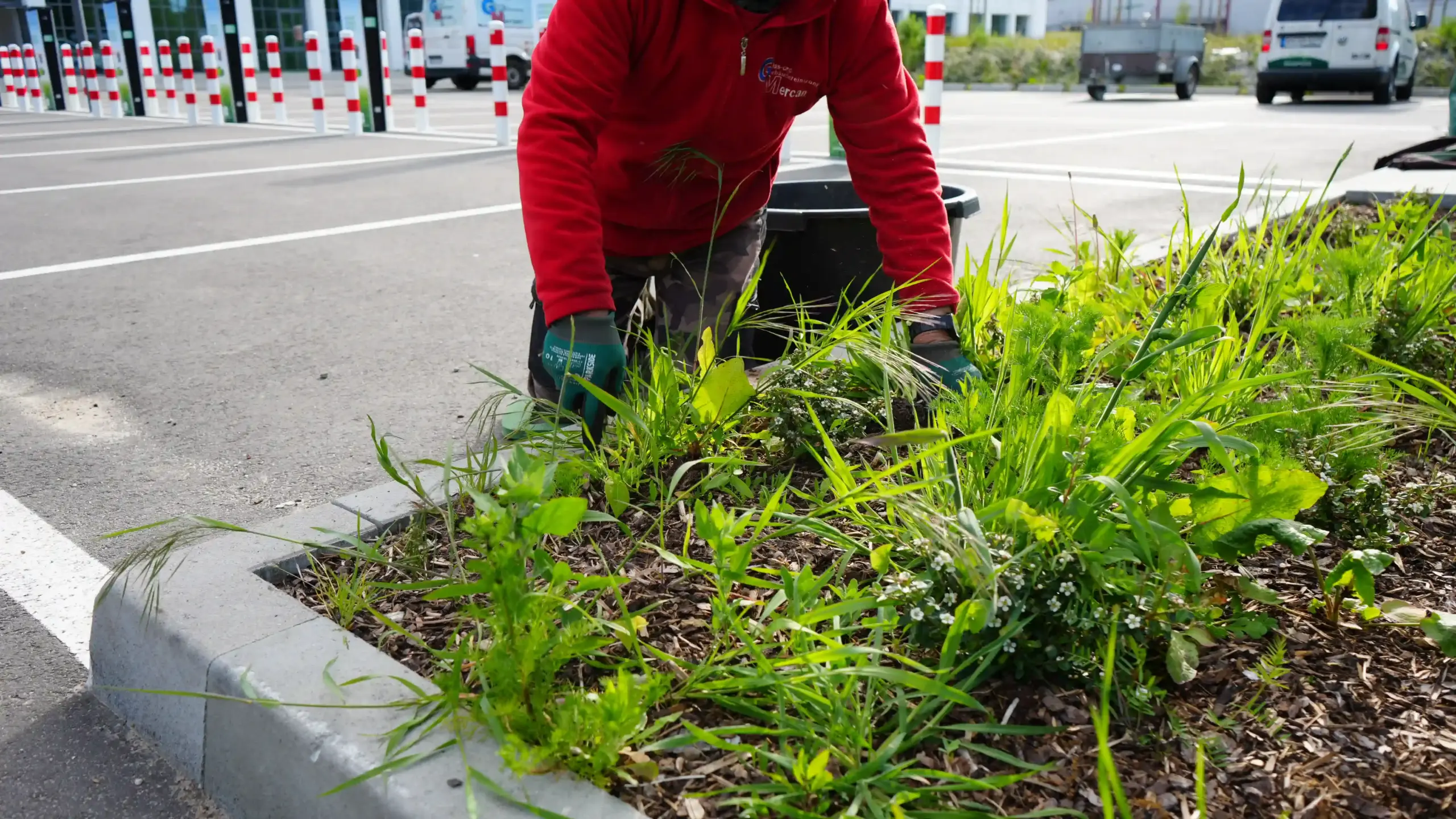 Grün- & Außenanlagenpflege und Gartenpflege