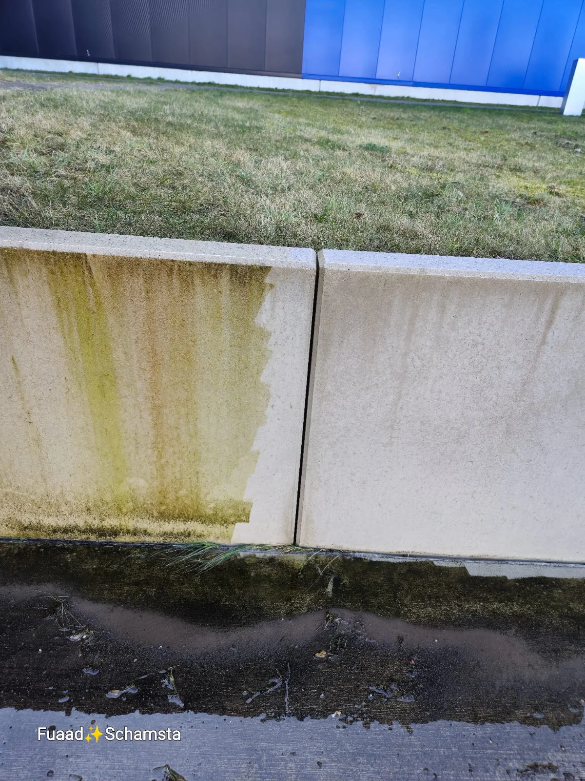 Graupflege 1