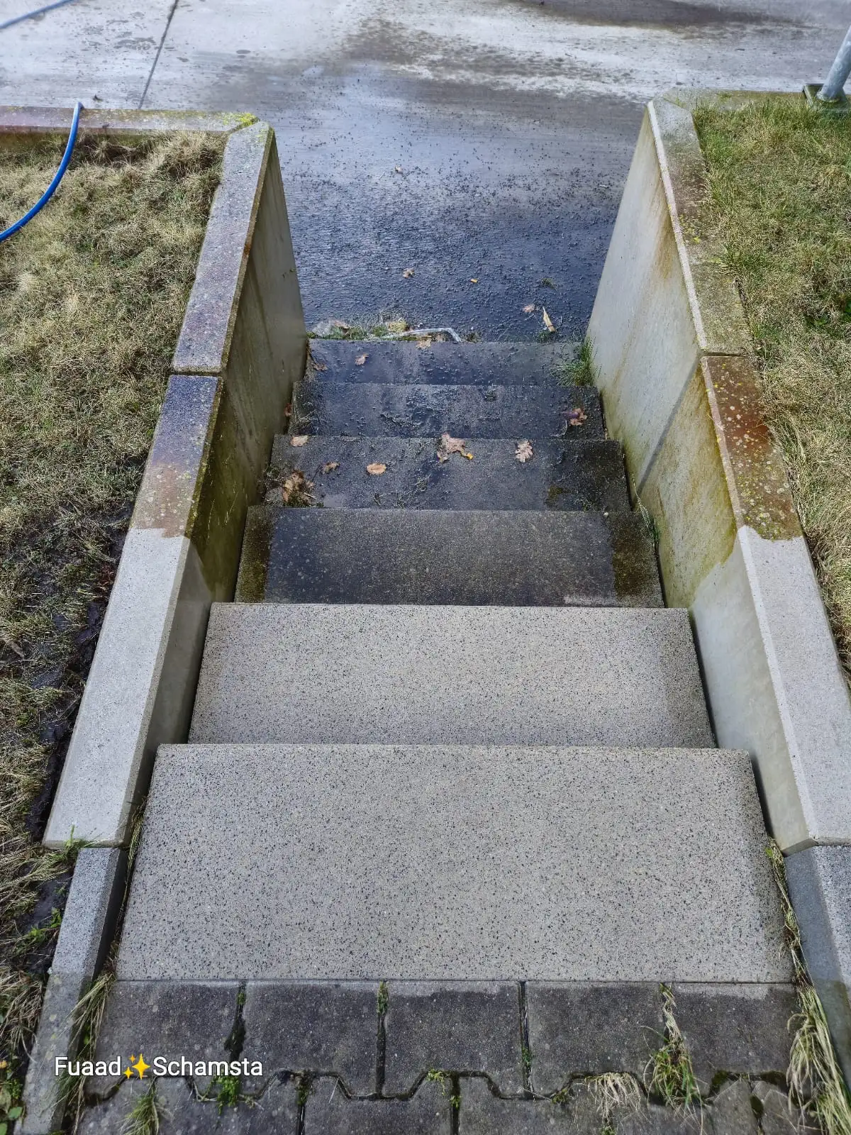 Graupflege